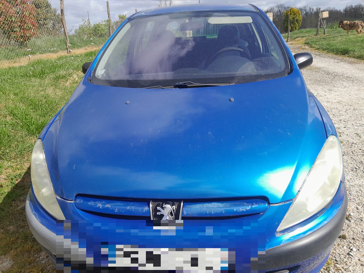 Peugeot 307 bleue